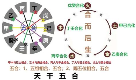 五行合化表|天干五合详解 – 天干五合合化条件